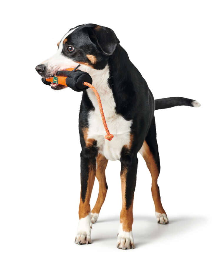 HUNTER Trainer-Snack Dummy mit Seil